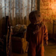 Illustration for article titled Cult horror film iTrick ‘R Treat /iis getting a sequel